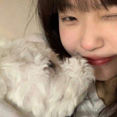 像素故事真爱巴黎正式版下载